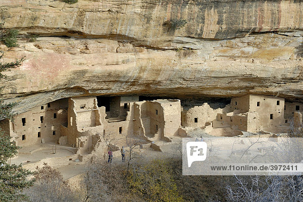 Historische Wohn- und Kultstätte der Ancestral Puebloans  Spruce Tree House  ca. 1200 n. Chr.  Mesa Verde National Park  Colorado  USA