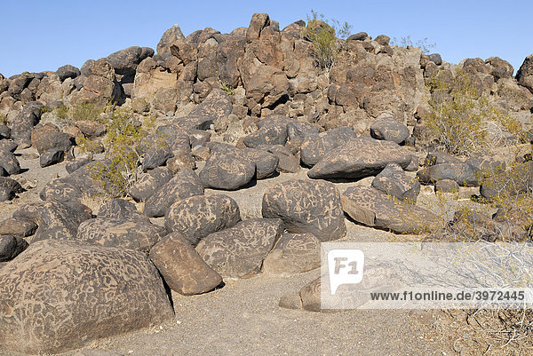Historische indianische Ritzzeichnungen  Petroglyphen  Painted Rock Petroglyph Site  Painted Rocks State Park  Gila Bend  Maricopa County  Arizona  USA