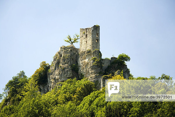 Die Burg Neideck am Fluss Wisent  Tüchersfeld  Fränkische Schweiz  Oberfranken  Bayern  Deutschland  Europa