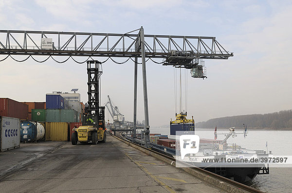 Hafen Bonn  Containerstapler bringt Container in Arbeitsbereich des Portalkrans  Containerschiff Magic liegt am Kai und wird beladen  bimodaler Umschlag  Nordrhein-Westfalen  Deutschland  Europa