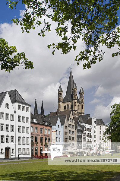 Kölner Altstadt mit Groß Sankt Martin vom Rheinufer gesehen  Köln  Nordrhein-Westfalen  Deutschland  Europa