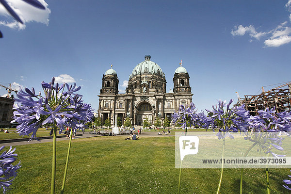 Flowers at the Berlin Cathedral  Berlin  Germany