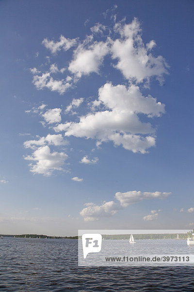 Weiße Wolken vor blauem Himmel über dem Wannsee  Berlin  Deutschland  Europa
