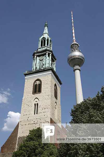 St. Marienkirche und Fernsehturm in Berlin  Deutschland  Europa