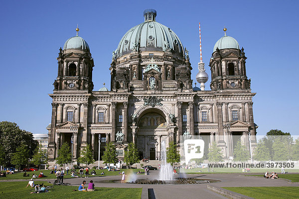 Berliner Dom in Berlin  Deutschland  Europa