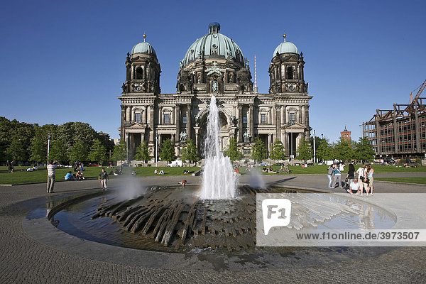 Berliner Dom in Berlin  Deutschland  Europa