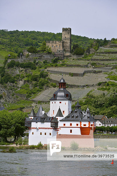 Burg Gutenfels über der Burg Pfalzgrafenstein in Kaub am Rhein  Rheinland-Pfalz  Deutschland  Europa