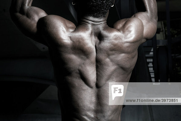 Muscular back of a dark-skinned athlete