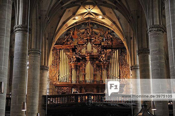 Innenaufnahme Empore mit Orgelprospekt  des Heilig-Kreuz-Münster  Süddeutsche Hallengotik  Schwäbisch Gmünd  Baden-Württemberg  Deutschland  Europa