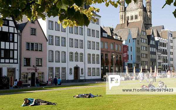 Altstadt am Rheinufer mit Groß St. Martin  Köln  Nordrhein-Westfalen  Deutschland