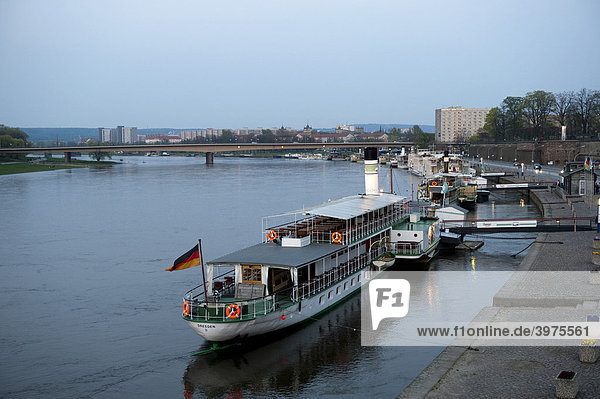 Paddle steamer on the Elbe River  Dresden  Saxony  Germany  Europe