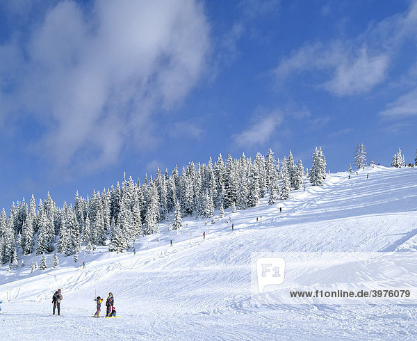 Snow-covered winter landscape  ski slope  skiers  fresh snow  Salzburger Land  Austria