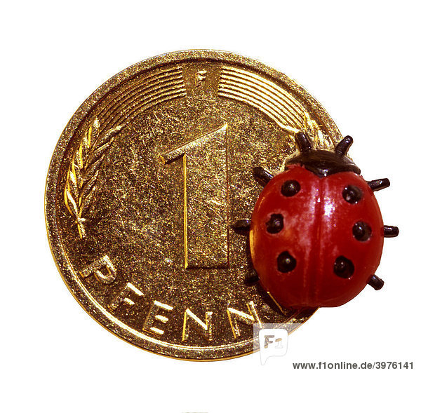 Lucky penny  lady beetle  lucky charm