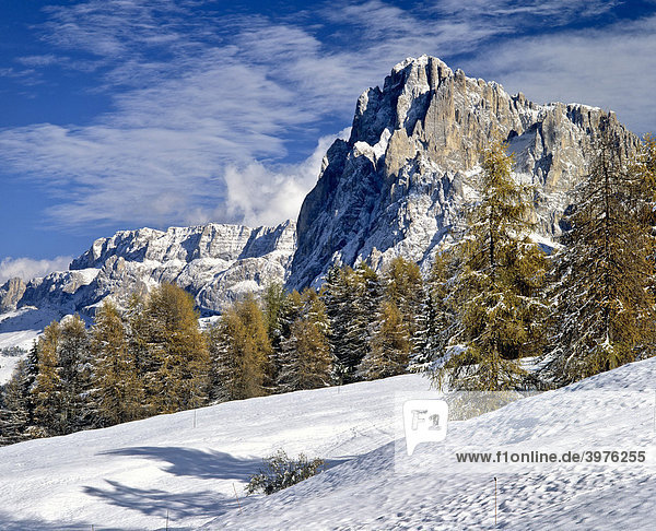 Langkofel  Seiseralm  vor Sella  Winter  Dolomiten  Südtirol  Italien  Europa