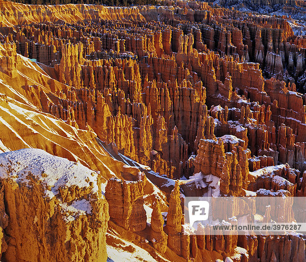 Amphitheater  Bryce Canyon National Park  erosion  fresh snow  Utah  USA