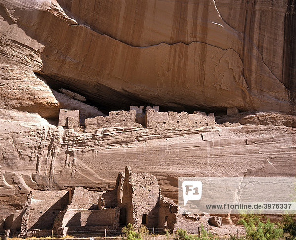 Mesa Verde  Felsbehausungen der Anasazi Indianer  Cliff Palace  Colorado  USA
