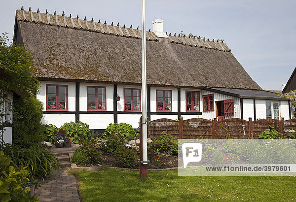 Malerisches Reetdachhaus  Nyord  Insel Moen  M¯n  Dänemark  Skandinavien  Europa