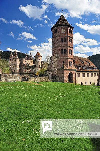Kloster St.Peter und Paul  Jagdschloss Ruine  Hirsau  Schwarzwald  Baden-Württemberg  Deutschland  Europa