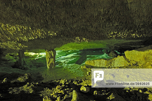 Cenote  Kalksteinloch  Hidden Worlds Cenotes Park  Tulum  Bundesstaat Quintana Roo  Riviera Maya  Halbinsel Yucatan  Mexiko