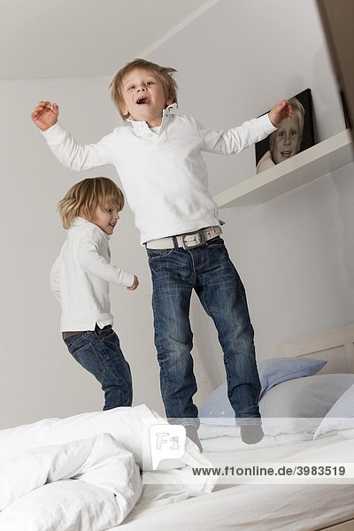 Zwei Jungen  3 und 6 Jahre  springen auf Elternbett herum