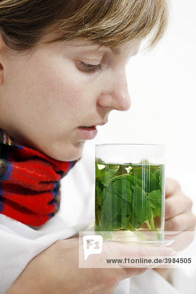 A young woman with a sore throat and a cold  with a scarf  drinking mint tea with fresh mint leaves  soothing