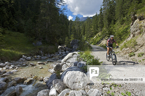 Mountainbike-Fahrerin an der Leutascher Ache im Gaistal  Leutasch  Tirol  Österreich