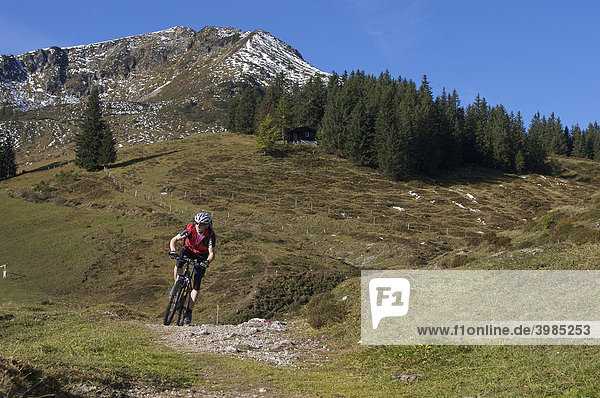 Mountain biker at Mount Gaisberg  Rettenbach  Tyrol  Austria