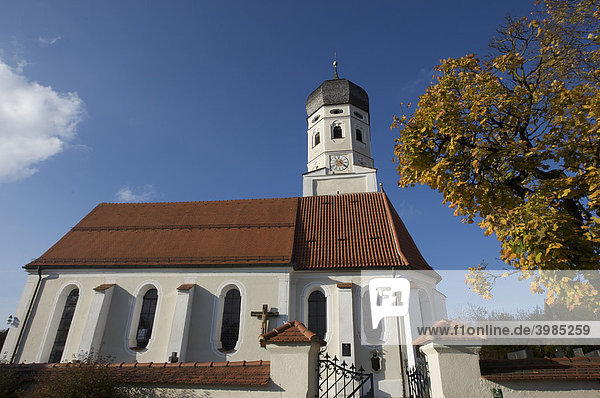 Kirche St. Vitus im Herbst  Erling  Gemeinde Andechs  Oberbayern  Bayern  Deutschland  Europa