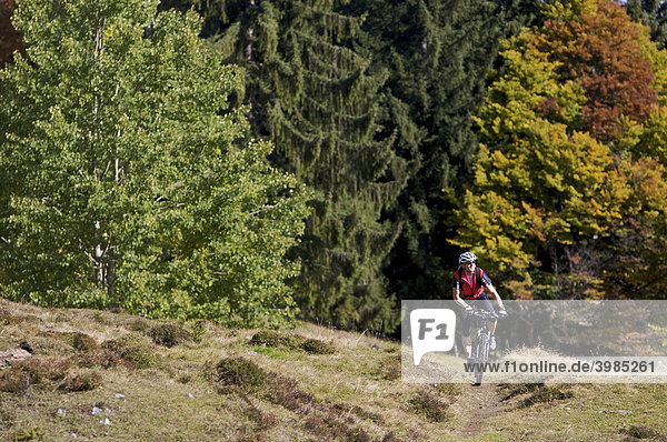 Mountainbike-Fahrer am Gaisberg, Rettenbach, Tirol, Österreich, Europa