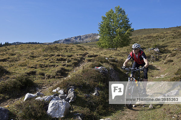 Mountainbiker on Gaisberg mountain  Rettenbach  Tyrol  Austria  Europe