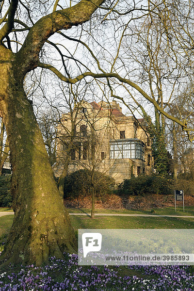 Historische Villa Josef Thyssen  Thyssen Park  Mühlheim an der Ruhr  Nordrhein-Westfalen  Deutschland  Europa