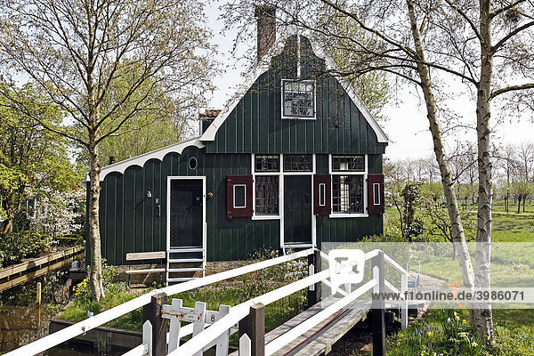 Traditionelles holländisches Holzhaus im Grünen  Zugang über Brücke  Freiluftmuseum Zaanse Schans  Zaandam  Provinz Nordholland  Niederlande  Europa