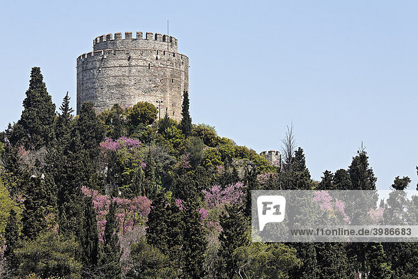 Dicker Turm auf bewaldetem Hügel  Europäische Festung  Rumel Hisari  Bosporus  Istanbul  Türkei