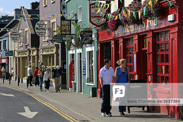 Irish Pubs  Dingle  Kerry  Irland