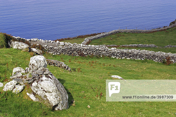 Landschaft mit Steinmauern  Ballinskelligs Bay Bucht  Waterville  Ring of Kerry  Kerry  Irland