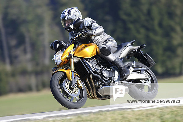 Honda Hornet motorcycle  riding shot