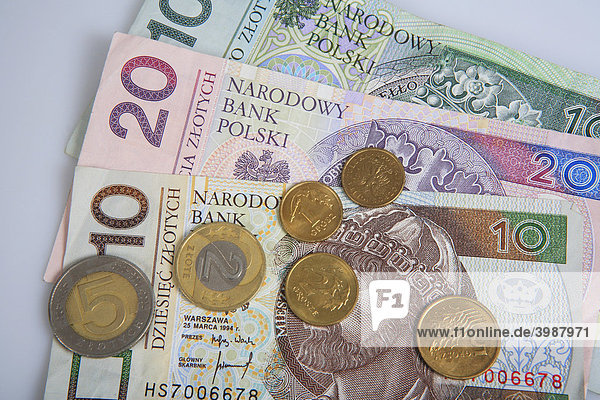 Polish currency