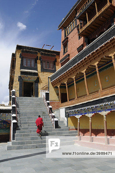 Thikse Monastery  novice climbing the stairs to the oratory  Ladakh  Jammu and Kashmir  North India  Himalayas  Asia