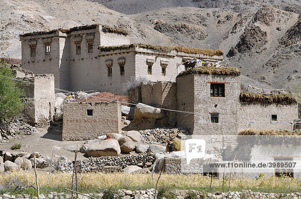 Bauernhäuser mit Heuernte auf dem Flachdach in Chemre  Ladakh  Indien  Himalaja  Asien