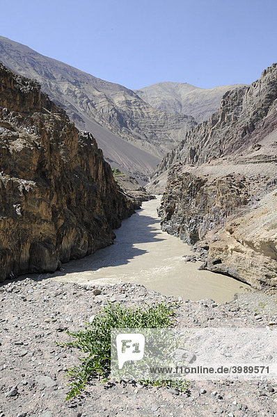 Durchbruchstal des Zangskar zum Indus  Ladakh  Nordindien  Himalaja  Asien