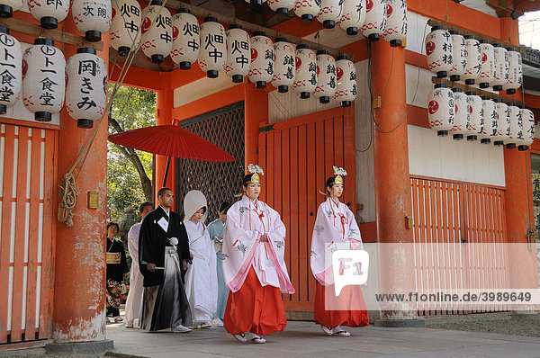Entry of the bridal procession at a Shinto wedding  walking through the shrine gate  entering the shrine  led by mikos  Yasaka Shrine  Maruyama Park  Kyoto  Japan  Asia