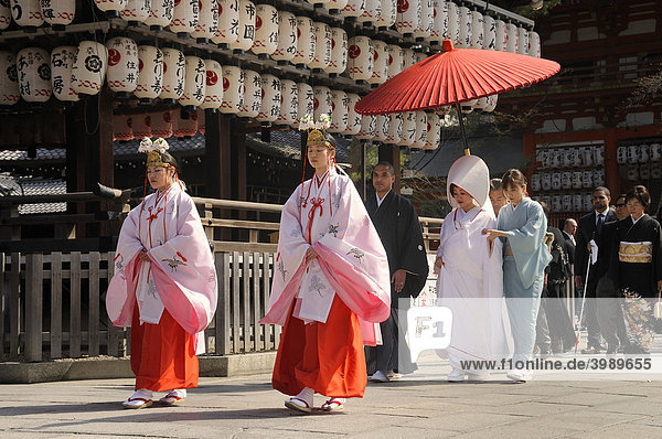 Mikos  shrine servant  leading the bridal procession  Yasaka Shrine  Maruyama Park  Kyoto  Japan  Asia