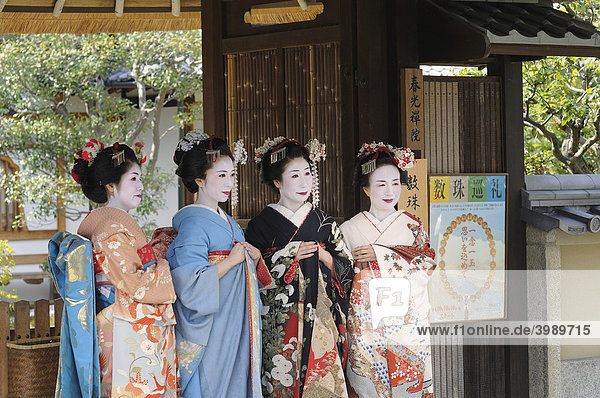 Maikos  Geishas in Ausbildung  in der Nähe Gionviertel  Kyoto  Japan  Asien
