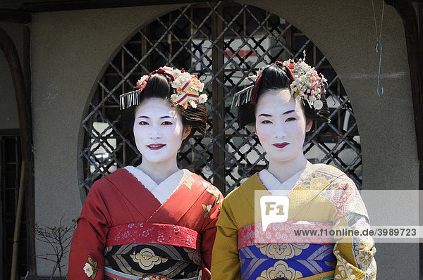 Maikos  Geishas in Ausbildung  im Gion Stadtviertel  Kyoto  Japan  Asien