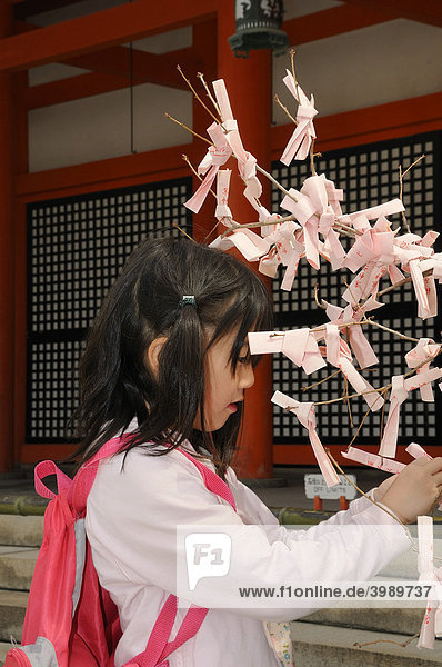 Japanisches Mädchen knotet Gebete und ihre Wünsche an die Sträucher im shintoistischen Heian Schrein  Kyoto  Japan  Asien