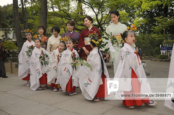 Matsuri  Schreinfest  Kinder mit ihren Müttern in traditionellen Kimonos nehmen an der Prozession teil  Imamiya Schrein  Kyoto  Japan  Asien
