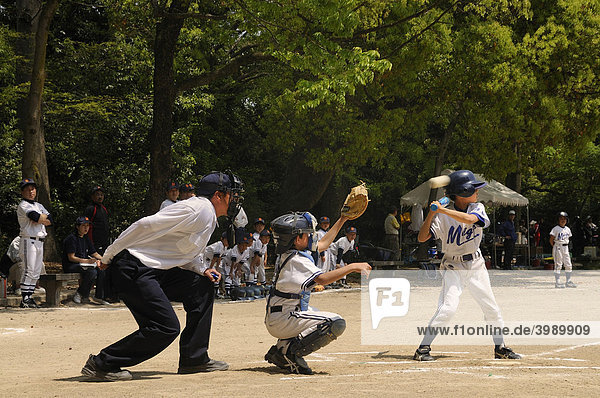 Children training for the national sport of baseball on the grounds of the Imperial Palace on a Sunday in Kyoto  Japan  East Asia  Asia