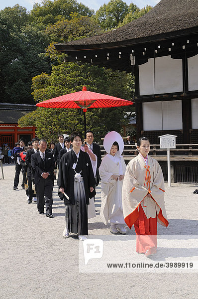 Shinto wedding with shrine servant at the Shimogamo shrine  Kyoto  Japan  East Asia  Asia
