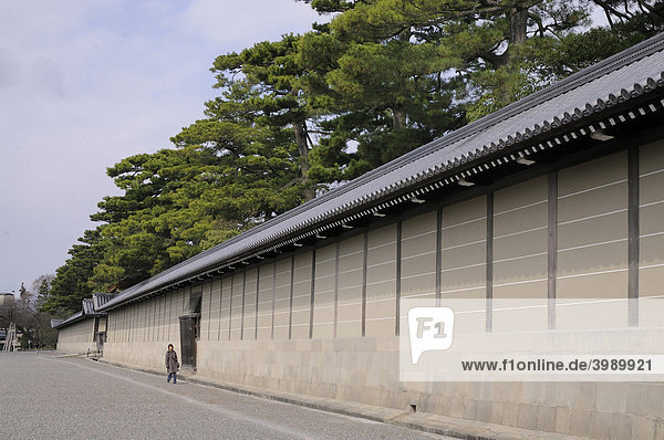 Wall around the palace with pine trees  Imperial Palace  Gosho  in Kyoto  Japan  Asia