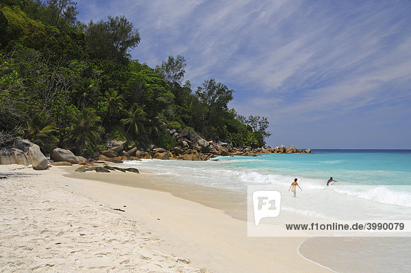 Beach with granite rocks and tropical vegetation  Anse Georgette  Praslin Island  Seychelles  Africa  Indian Ocean